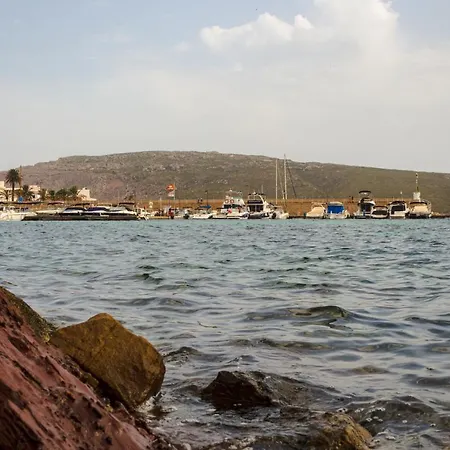 Gabriel Sans * 포르넬스